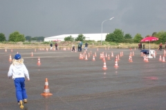 regen cart 001