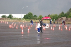 regen cart 002