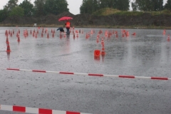 regen cart 006