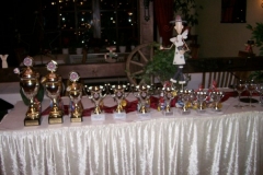 ehrungen 2008 015