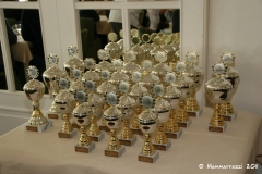 IMG_2145-Pokale