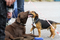 IMG_6904-Sina-und-Pauli