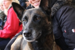 IMG_8448-Daniela-mit-Hundi
