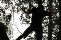 IMG_3148-Geist-im-Baum