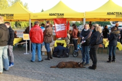 IMG_5057-Hansa-hat-geflaggt