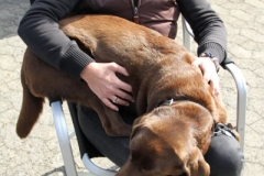 IMG_5402-gemuehtlich