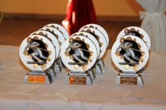 IMG_7286 Olympiadepokale