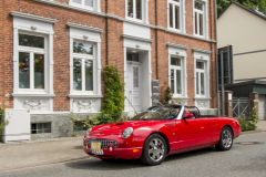 0202024-tdn-auering_0302