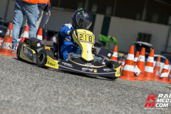 0102025-ap-cart_0079