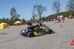 0172025-ap-cart_0273