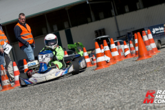 0252025-ap-cart_0080