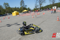 0382025-ap-cart_0261